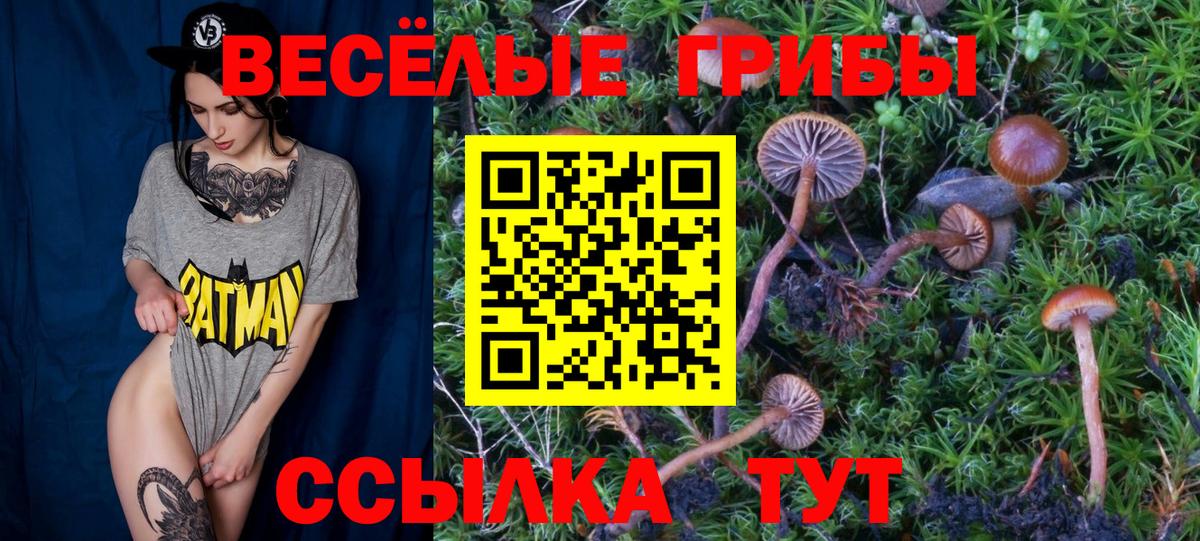 Галлюциногенные грибы Psilocybe  Вход с VPN  Усть-Лабинск 